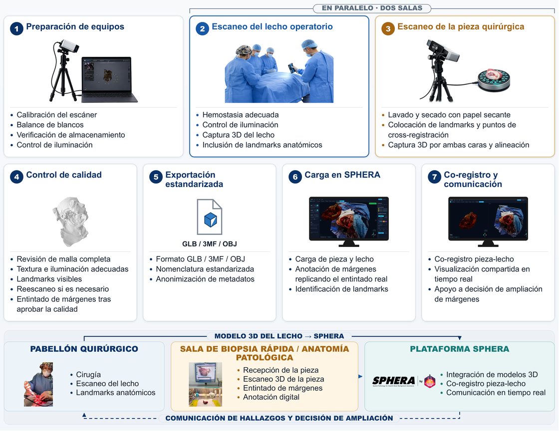 Flujo del protocolo intraoperatorio 3D en siete pasos: preparación de equipos; escaneo del lecho operatorio y de la pieza quirúrgica, que ocurren en paralelo en dos salas; control de calidad y entintado de márgenes; exportación estandarizada; carga en SPHERA; y co-registro y comunicación entre pabellón, anatomía patológica y la plataforma.