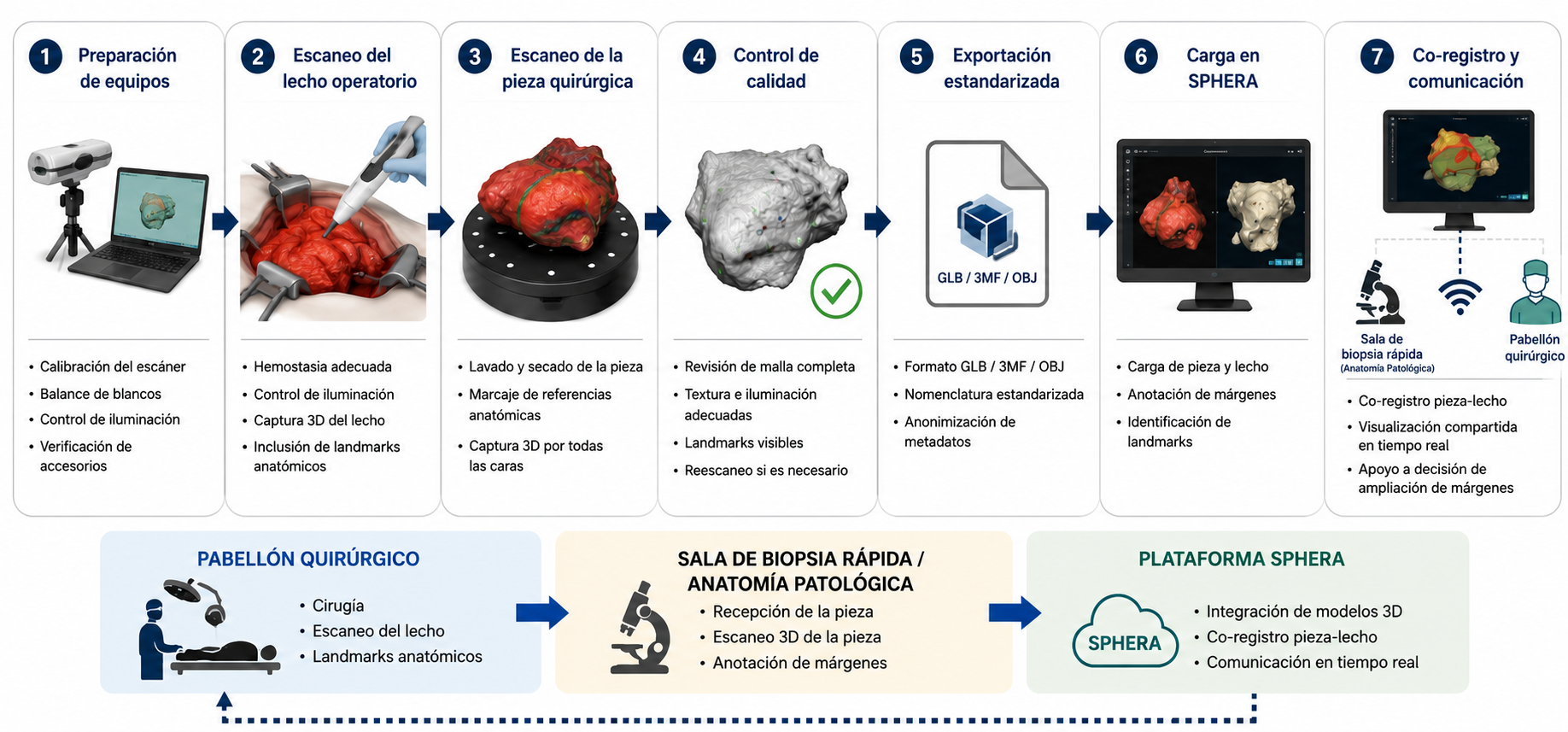 Flujo del protocolo intraoperatorio 3D de SPHERA: preparación de equipo, escaneo del campo quirúrgico y de la pieza, control de calidad, exportación estandarizada, carga en SPHERA y co-registro entre pabellón, anatomía patológica y la plataforma.